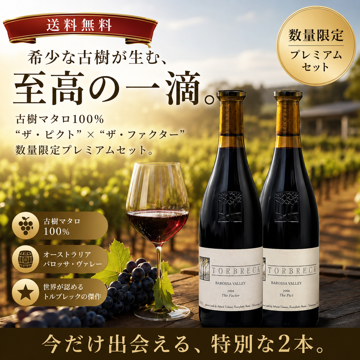 【希少】古樹マタロ100%“ザ・ピクト”×古樹シラーズの傑作“ザ・ファクター”。数量限定プレミアムセット。