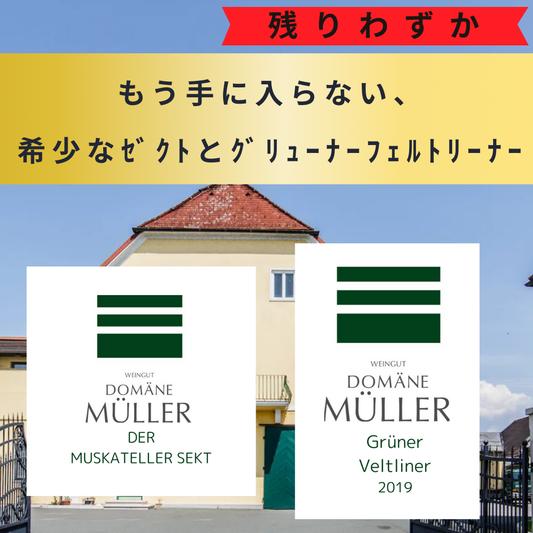 もう手に入らない、 希少なｾﾞｸﾄとｸﾞﾘｭｰﾅｰﾌｪﾙﾄﾘｰﾅｰ